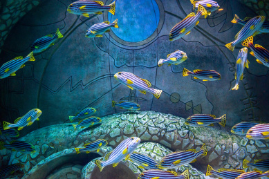 海南省三亚市亚特兰蒂斯水族馆