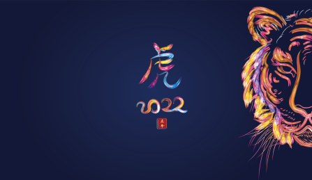 2022虎年新年的老虎涂鸦插画