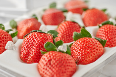 塑料包装盒里色泽红润的新鲜草莓