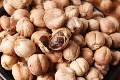 美味香浓的调味料白豆蔻