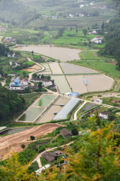 中国四川省苍溪县岫云村农村自然风光