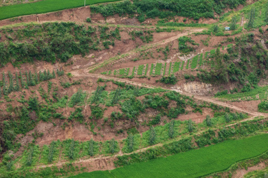 中国四川省苍溪县岫云村农村自然风光