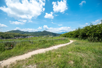 晴朗的天空下的郊外