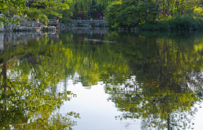 中国山东济南市趵突泉公园