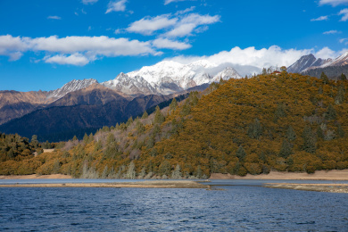 中国西藏林芝鲁朗风光