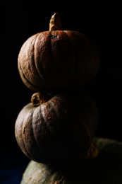 多种南瓜放置在蓝色的桌布上