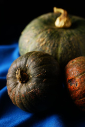 多种南瓜放置在蓝色的桌布上