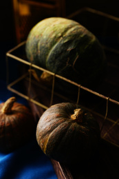 多种南瓜放置在蓝色的桌布上