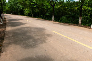 两旁绿树的水泥路