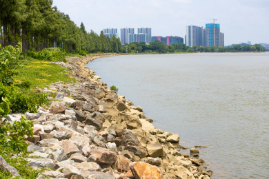 防洪防护堤