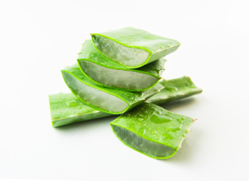 白底上的新鲜芦荟