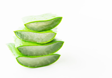 白底上的新鲜芦荟