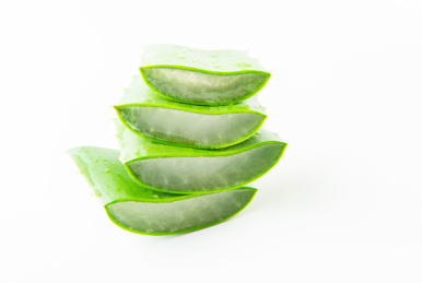 室内拍摄的芦荟