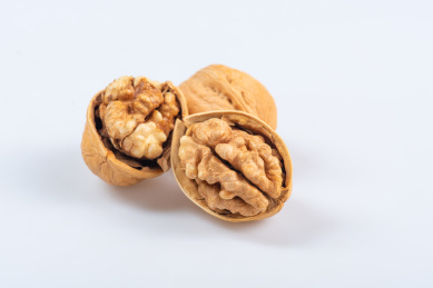 白底上的纸皮核桃特写