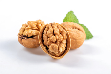 白底上的纸皮核桃特写