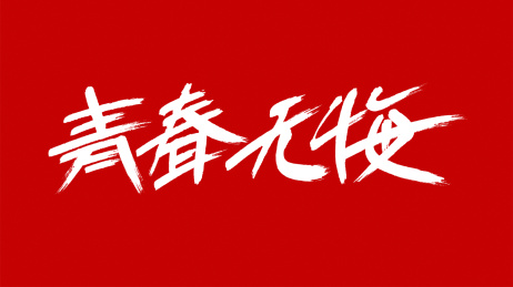 中国风书法汉字字体设计青春无悔