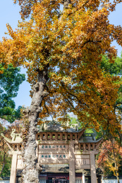 中国江苏苏州天平山风景区