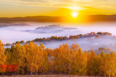 日出太阳升起时云雾中的秋色