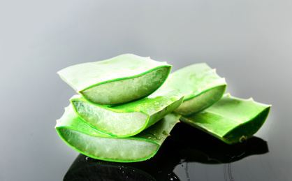 黑背景中的的新鲜芦荟