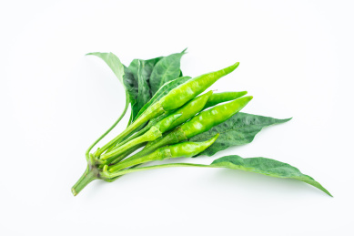 白背景上的新鲜朝天椒