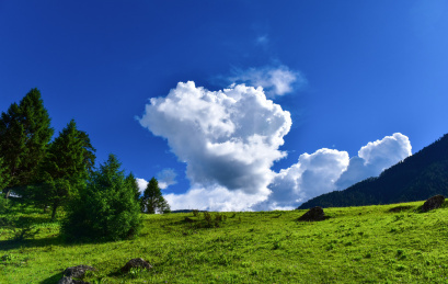 中国西藏自治区林芝市巴宜区鲁朗风光