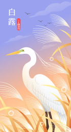 白鹭和芦苇插画