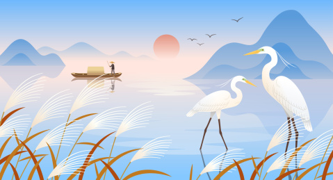 白鹭和芦苇小船等插画横版