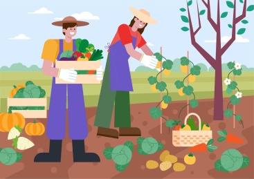 收获季节采摘果实