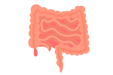 消化道矢量插画