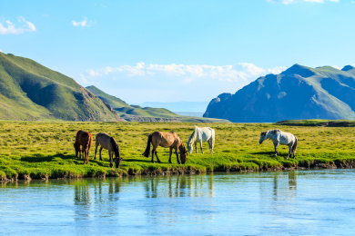 中国新疆那拉提草原自然风光