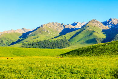 中国新疆那拉提草原自然风光