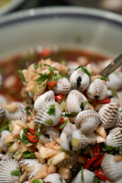 大盆里的潮汕生腌美食血蛤勺起特写