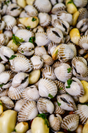 潮汕美食生腌血蛤局部特写