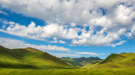 中国甘南自治州桑科草原风景