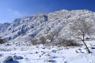 下雪后的宁夏贺兰山风光