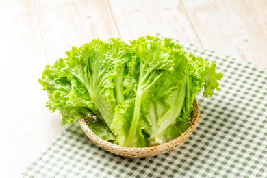 一簸箕生菜摆放在木桌面背景上