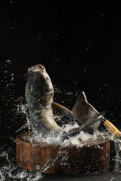 黑色背景下的一条跳跃的包头鱼