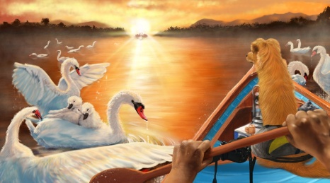 插画第一人称与狗划船经过天鹅群的落日海景