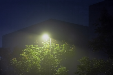 夜晚城市笼罩树枝路灯灯光穿透树叶散射光线