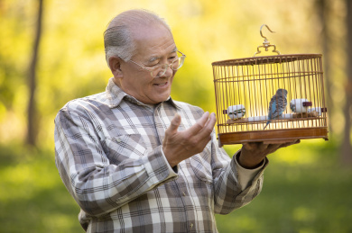 快乐的老年人在公园遛鸟