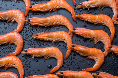 北极虾放在黑色背景板上