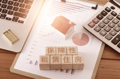 图表上的文字积木保障性租赁住房