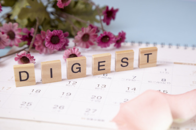 用木质积木砌成的字母单词digest