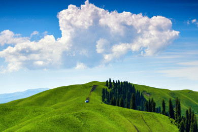 中国新疆那拉提空中草原