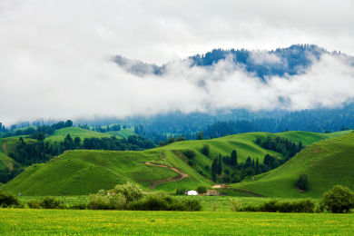 中国新疆那拉提空中草原