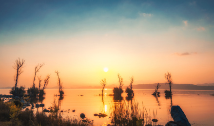 南滇池国家湿地公园风景
