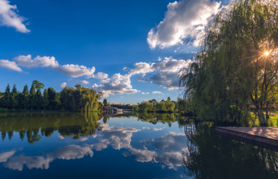 南滇池国家湿地公园风景