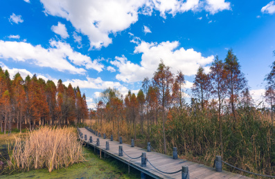 南滇池国家湿地公园风景