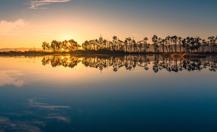 昆明晋宁区东大河湿地公园