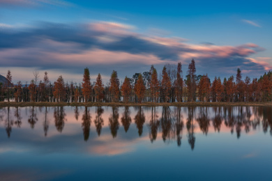 昆明晋宁区东大河湿地公园